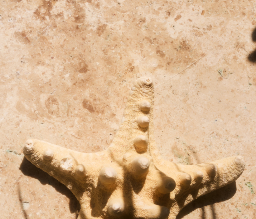 Right block image alt text